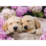 Puzzle 300 pieces xxl - mignons chiots dans la corbeille - ravensburger - puzzle enfant 300 pieces - des 9 ans