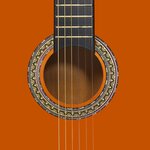 vidaXL Jeu de guitare classique pour débutants 12 Pièces 4/4 39"