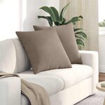 vidaXL Coussins de canapé 2 Pièces Taupe 80 x 80 cm tissu