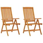 vidaXL Chaises de jardin pliables lot de 2 Bois d'eucalyptus massif