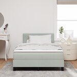 vidaXL Lit à ressorts avec matelas & lumière LED gris clair 120x190 cm en velours