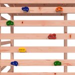 vidaXL Aire de jeux d'extérieur bois massif de douglas