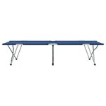 vidaXL Lit de camping pliant 2 Pièces Bleu 62 x 194 x 42 cm Tissu Oxford