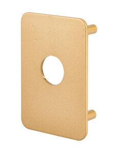 THIRARD - Plaque de renfort pour verrou Transit 2 et Capital  epoxy or - THIRARD