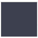 vidaXL Store enrouleur occultant largeur du tissu 161 6 cm polyester