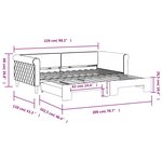 vidaXL Lit de jour avec gigogne sans matelas gris foncé 100x200 cm