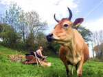SMARTBOX - Coffret Cadeau Golf au milieu de la nature et des animaux pour 3 en Normandie -  Sport & Aventure