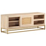 vidaXL Meuble TV 110x30x40 cm bois massif de manguier et fer