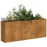 vidaXL Jardinière rouillé 200x40x80 cm acier inoxydable