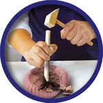 Ses creative découvre des fossiles
