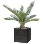 Palmier cycas artificiel en pot h 50 cm vert - dimhaut: h 50 cm - couleur: vert