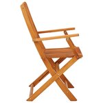 vidaXL Chaises de jardin pliables 2 Pièces Bois d'eucalyptus massif