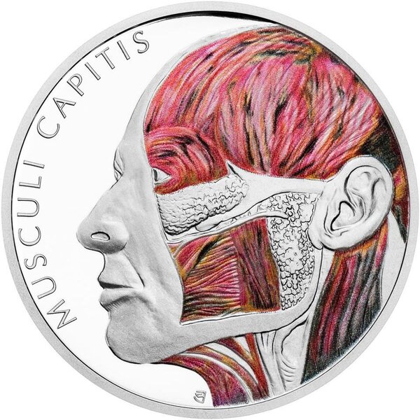 Monnaie HEAD MUSCLES Human Body 1 Oz Argent 1$ Niue 2025
