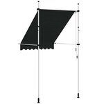 vidaXL Auvent manuel rétractable 150 cm Anthracite