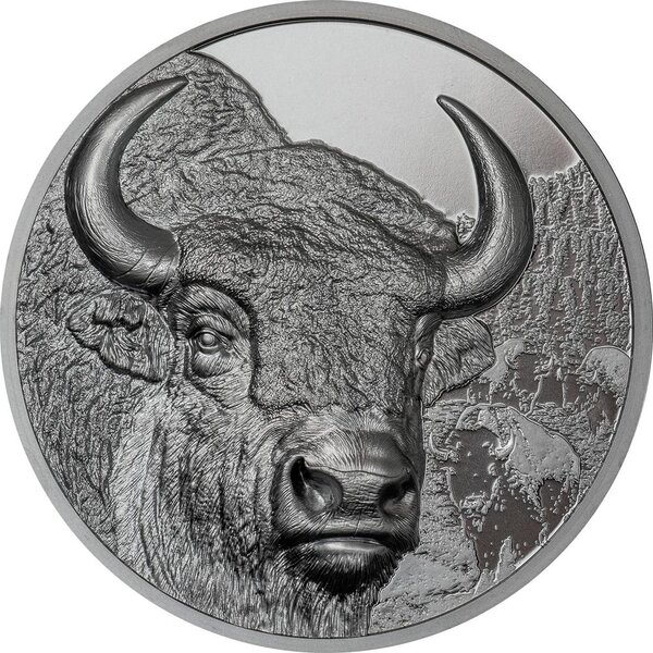 Pièce de monnaie en Argent 1000 Torog g 62.2 (2 oz) Millésime 2025 Wild Mongolia BISON (PRÉCOMMANDE)