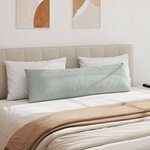 vidaXL Coussins de canapé 2 Pièces Gris clair 145 x 40 cm