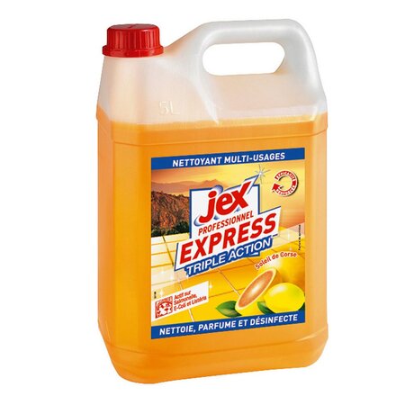 Express Nettoyant multi-usages désinfectant Triple Action Soleil de Corse - Bidon 5 L (bouteille 5 litres)