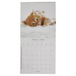 Grand calendrier mural 29x29cm Chats 2020 DRAEGER