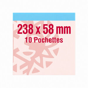 Pochettes double soudure 238 x 58 mm pour carnets personnages célèbres. Fond - Transparent