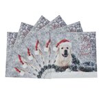 Lot de 6 cartes de vœux avec enveloppe - coffret croix-rouge très belle année - draeger paris