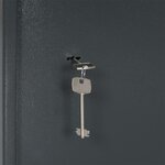 vidaXL Coffre-fort avec serrure à clé Gris Foncé 31x35x50 cm Acier