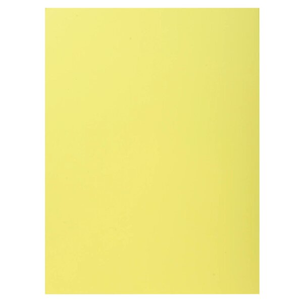 Paquet De 50 Chemises 1 Rabat Super 210 - 24x32cm - Canari - X 5 - Exacompta