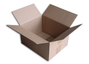 Lot de 10 boîtes carton (n°22) format 250x200x140 mm