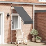 vidaXL Auvent manuel rétractable 100 cm anthracite