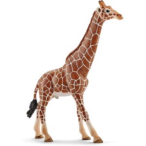 Schleich 14749 - Wild Life Girafe mâle