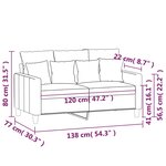 vidaXL Canapé à 2 places Noir 120 cm Velours