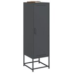 vidaXL Buffet haut anthracite 36x39x123 cm acier