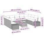 vidaXL Canapé de jardin 10 pièces avec coussins - Poly Rattan noir