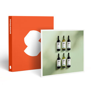 SMARTBOX - Coffret Cadeau Coffret Découverte de 6 vins bio à déguster à la maison -  Gastronomie