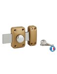THIRARD - Verrou à bouton Apache pour porte de garage  cylindre 30mm  pêne 160mm  acier  3 clés  époxy or