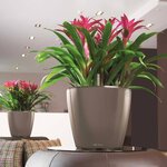 LECHUZA Jardinière CLASSICO LS 43 ALL-IN-ONE taupe brillant 16085