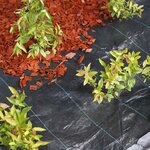 Nature Bâche de contrôle de mauvaises herbes avec chevilles 2x5 m Noir