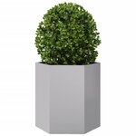 vidaXL Jardinières 2 Pièces hexagone 46x40x45 cm acier galvanisé
