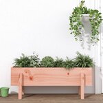 vidaXL Lit surélevé de jardin 101x30x38 cm bois douglas massif