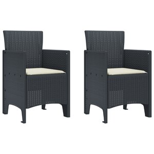 vidaXL Chaises de Jardin avec Coussins 2 Pièces Anthracite Rattan Plastique