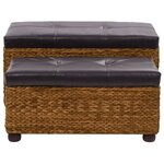 vidaXL Ensemble de banc lot de 2 Jacinthe d'eau Marron