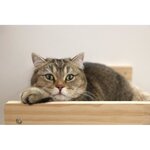 Hamac mural pour chats 38 x 33 5 x 16 cm - Bois massif - Tissu peluche