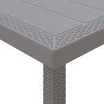 vidaXL Ensemble de salle à manger pour jardin 11 pc Gris clair