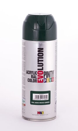 Peinture spray Acrylic Brillant 400ml Vert Mousse RAL 6005 - Pinty Plus