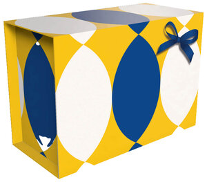 Emballage à affranchir - L - 5kg - Ruban et nœud jaune