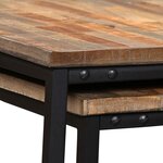 vidaXL Ensemble de table basse gigogne 2 Pièces Teck massif récupération