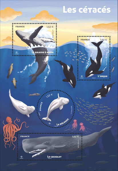 Bloc 4 timbres - Les cétacés - Lettre verte