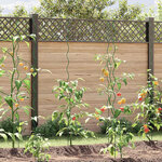 vidaXL Tuteurs spirales pour plantes 50 Pièces Vert 170 cm