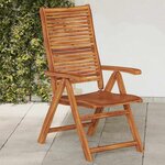 vidaXL Chaises de jardin pliantes inclinables lot de 2