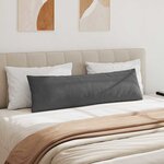 vidaXL Coussins de canapé 2 Pièces Gris foncé 145 x 40 cm