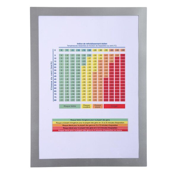 Une Pochette Affichage Mural Magnetique, pour Format A4, Cadre Couleur Argent EXACOMPTA
